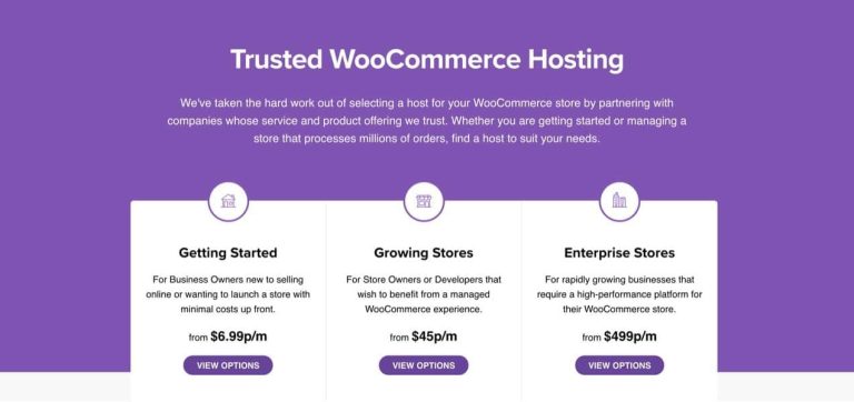 The Definitive Guide to WooCommerce Security