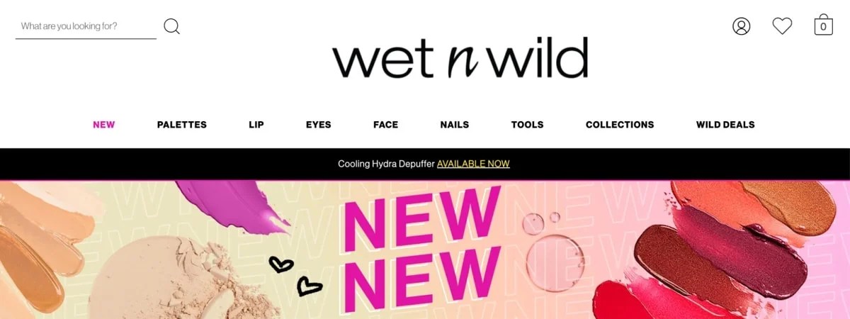 Wet n wild homepage design