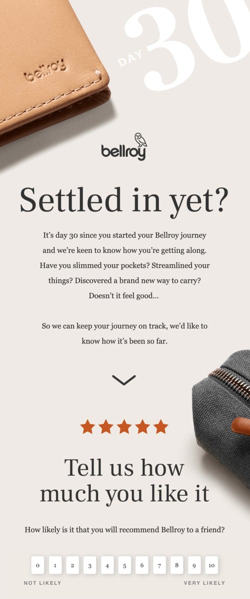 survey email example